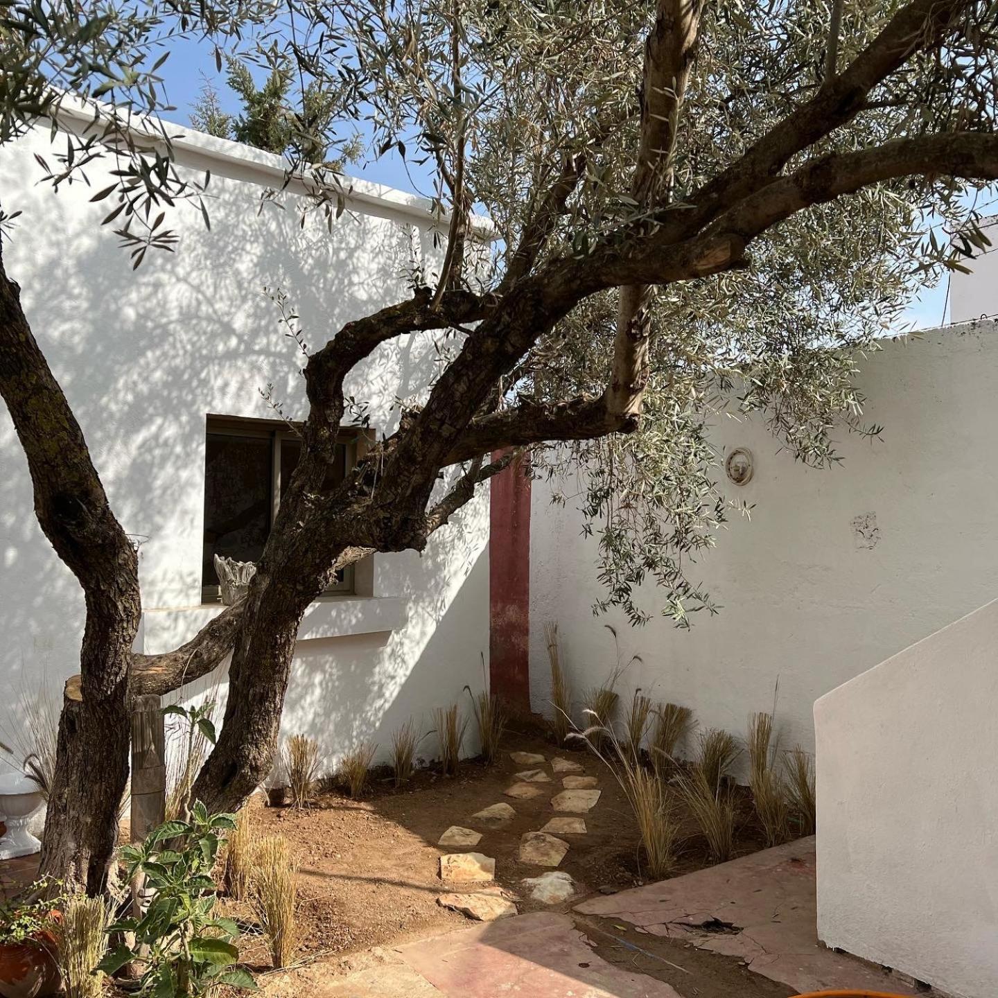 Maison D'Hotes La Ferme Aziza Fez Exterior photo